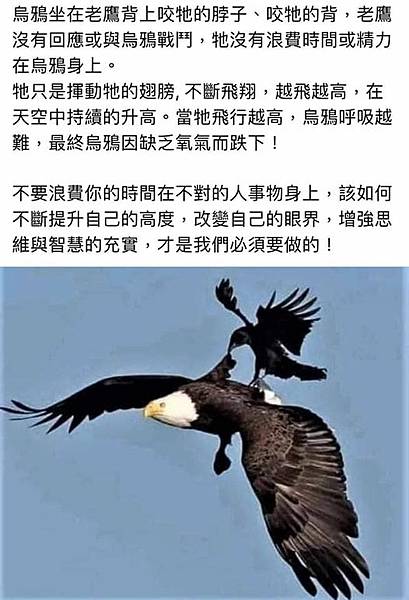 高度.jpg 高度.jpg