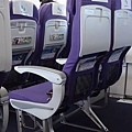 1216b DSC08320 No Fold Down Tray Table.jpg