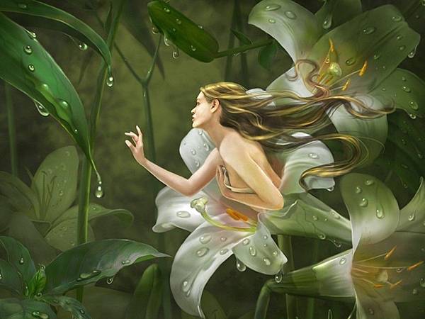 Fairy-Wallpaper-fairies-19086239-1024-768.jpg