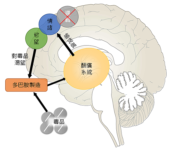 圖2-web.png 圖2-web.png