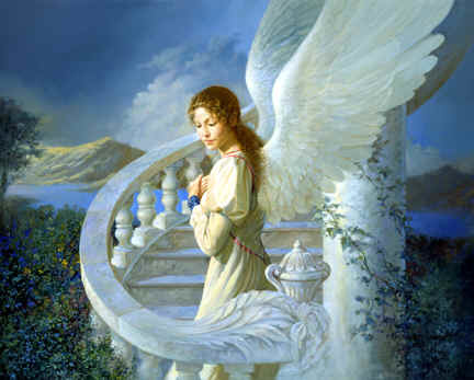 Guardian-Angel-for-rosebud-yorkshire_rose-31121236-432-347.jpg Guardian-Angel-for-rosebud-yorkshire_rose-31121236-432-347.jpg