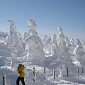 山頂上纜車搭乘處周圍可觀賞樹冰景象