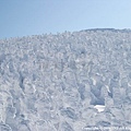 樹冰群3- 延綿至山頂