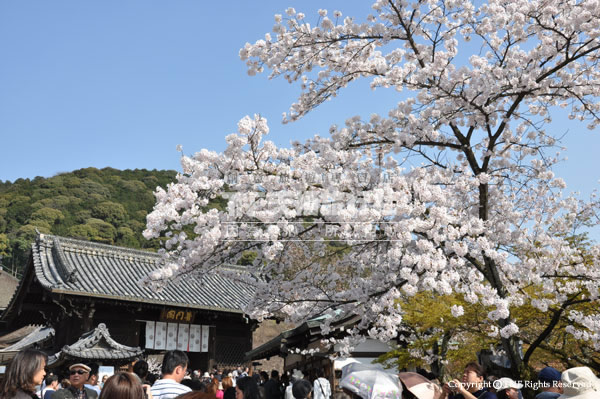 清水寺入口處