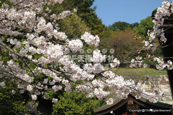 清水寺：地藏尊