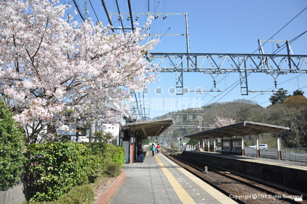 電車站-吉野