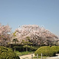 大阪城公園