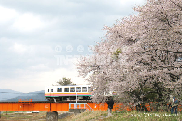 歡樂元氣花見列車