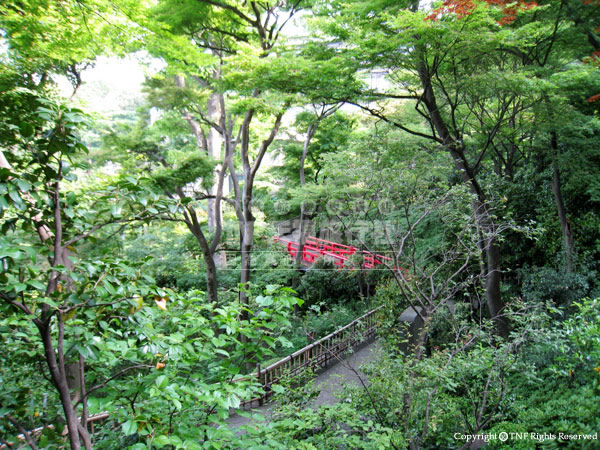 森林步道_II