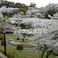 25_菊池公園.jpg