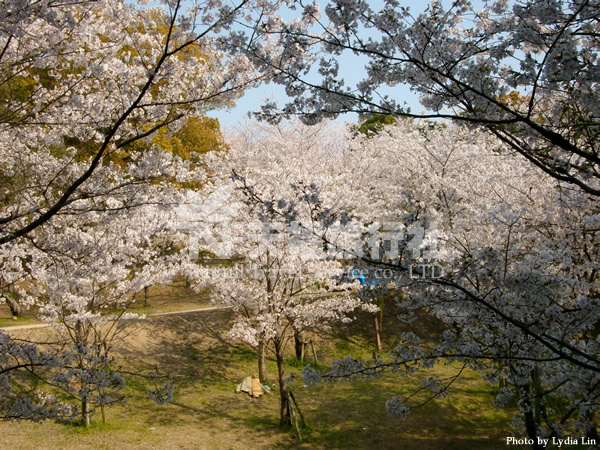 30_福岡西公園.jpg