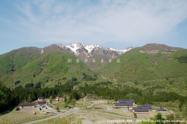 遠眺TOYOTA森林會館的腹地