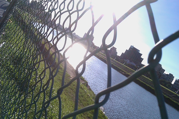 IMAG0051.jpg IMAG0051.jpg