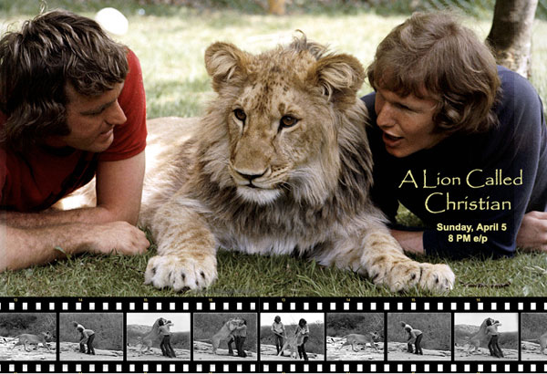 a-lion-called-christian-animal-planet.jpg a-lion-called-christian-animal-planet.jpg
