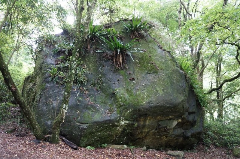 20120407-09-南投尋幽行-雙龍+合流坪+埔里紙教堂