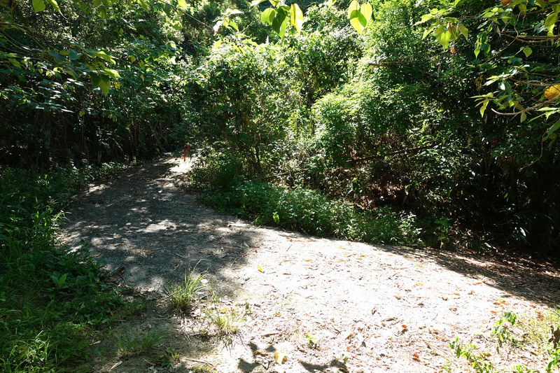 三腳南山、白馬亭、阿婆彎、大埔湖濱公園