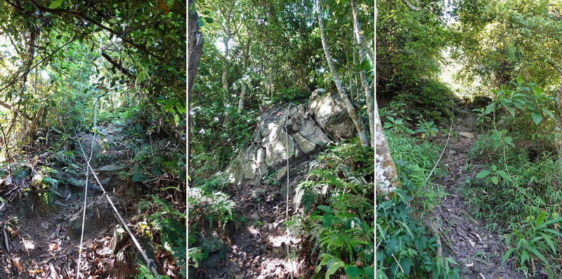 三腳南山、白馬亭、阿婆彎、大埔湖濱公園