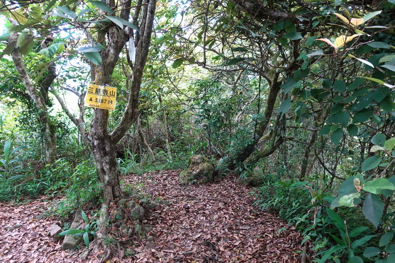 三腳南山、白馬亭、阿婆彎、大埔湖濱公園