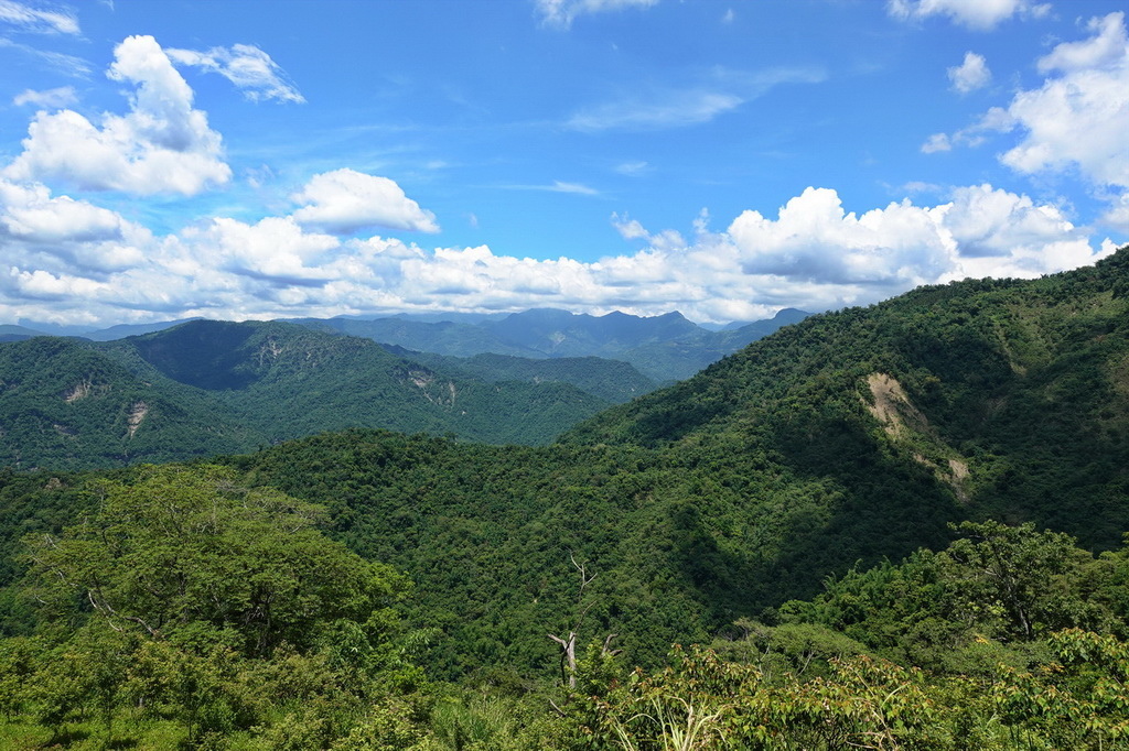 三腳南山、白馬亭、阿婆彎、大埔湖濱公園