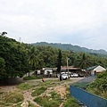 VIC08598.JPG