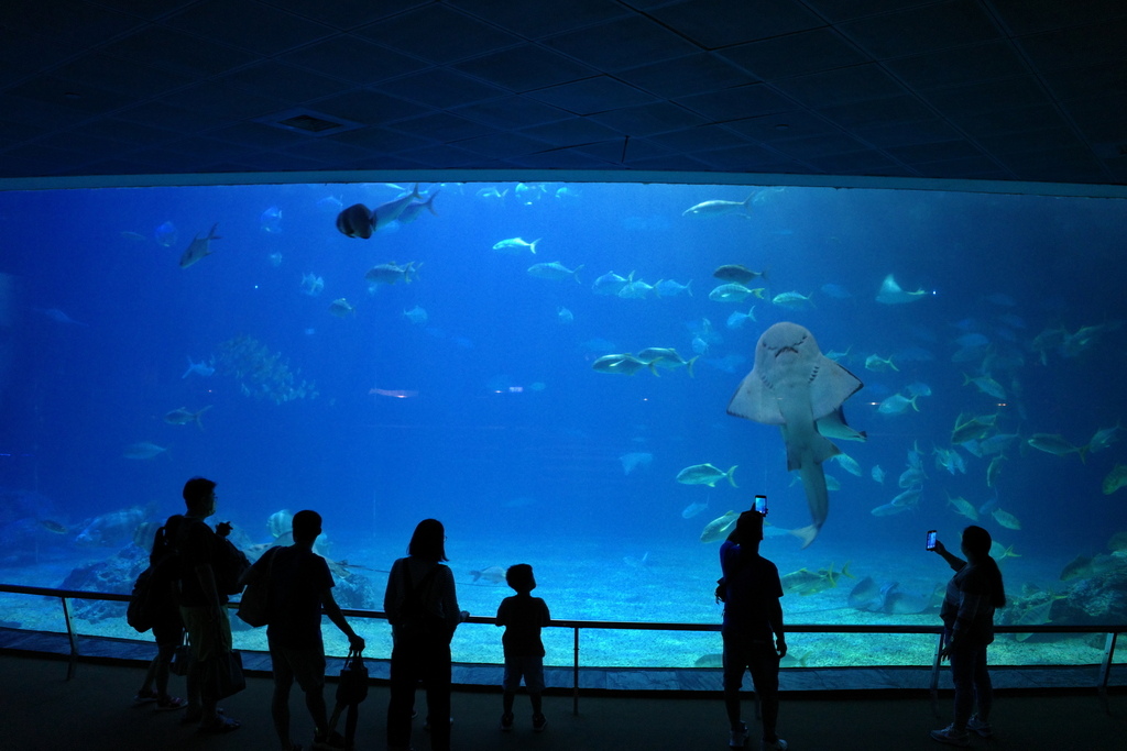 龜山步道、海生館、貓鼻頭、看海美術館