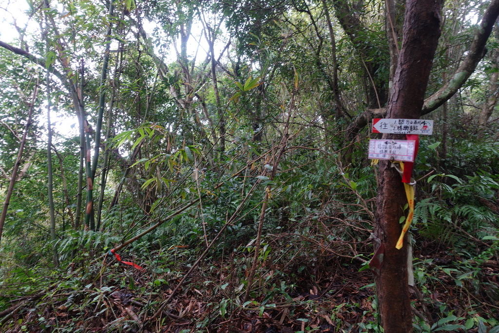 關刀山O型(出關古道關聖段)