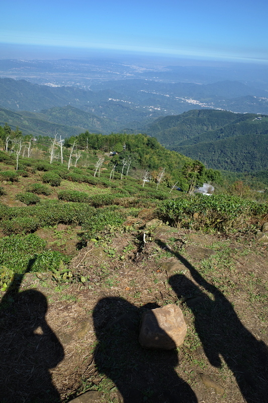 大石公走大崙尾山、貓冬望山、樟空崙山O型縱走