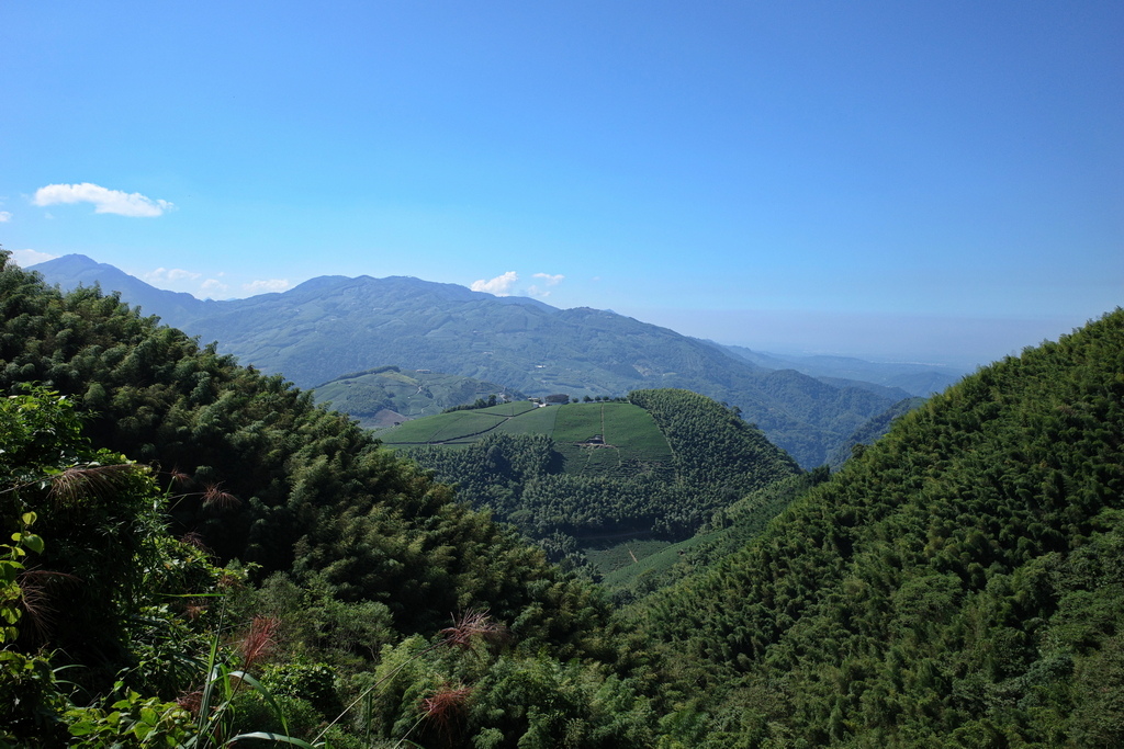 大石公走大崙尾山、貓冬望山、樟空崙山O型縱走