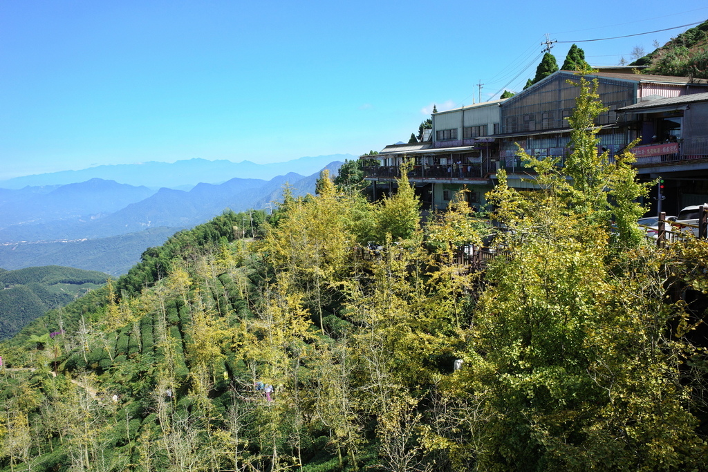 大石公走大崙尾山、貓冬望山、樟空崙山O型縱走