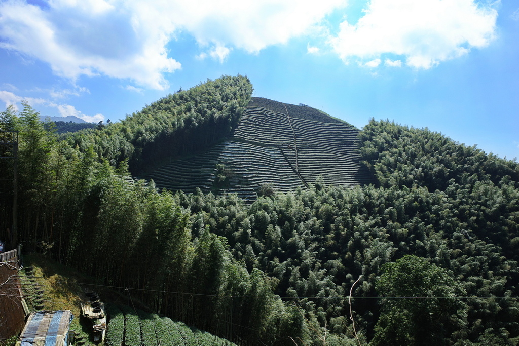 大石公走大崙尾山、貓冬望山、樟空崙山O型縱走