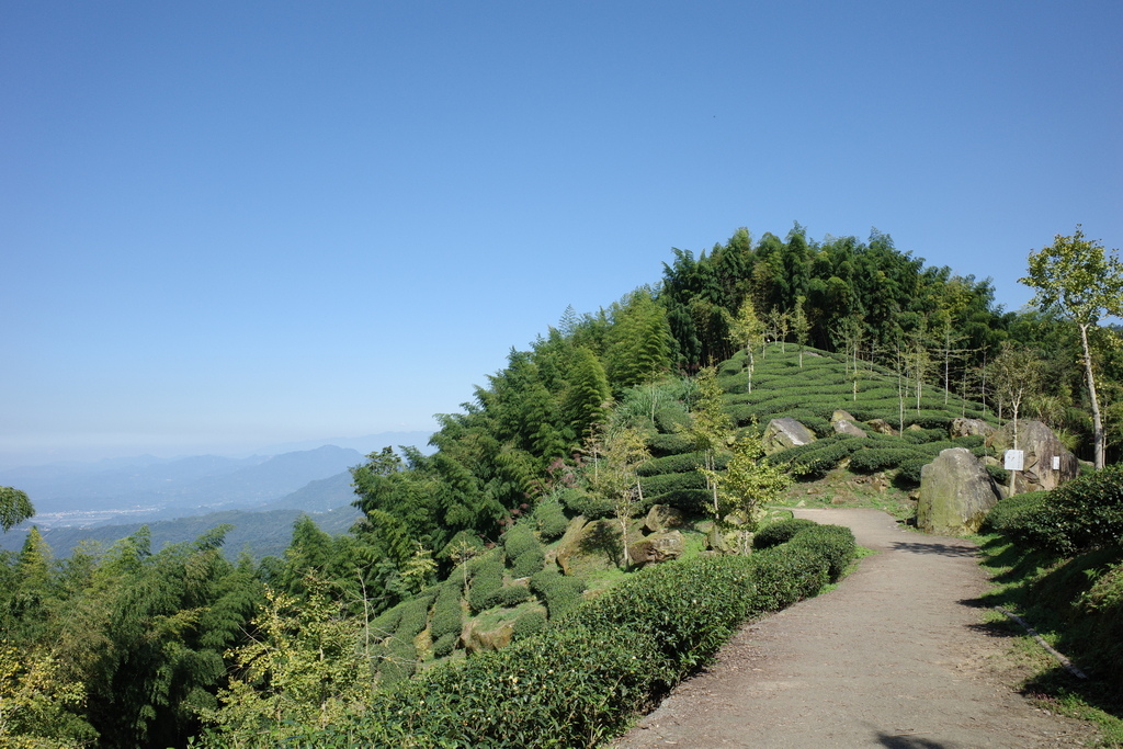 大石公走大崙尾山、貓冬望山、樟空崙山O型縱走