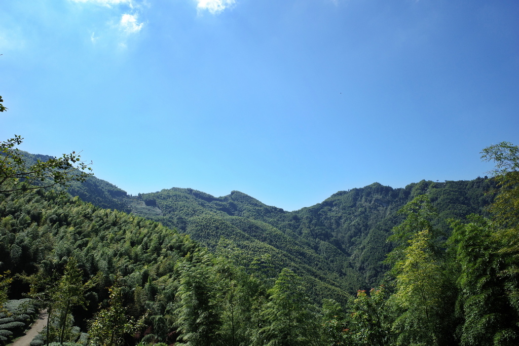 大石公走大崙尾山、貓冬望山、樟空崙山O型縱走