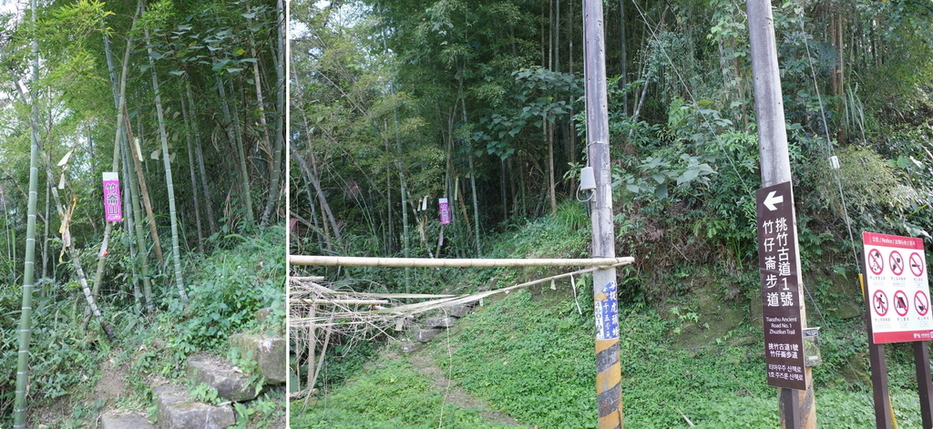 大石公走大崙尾山、貓冬望山、樟空崙山O型縱走