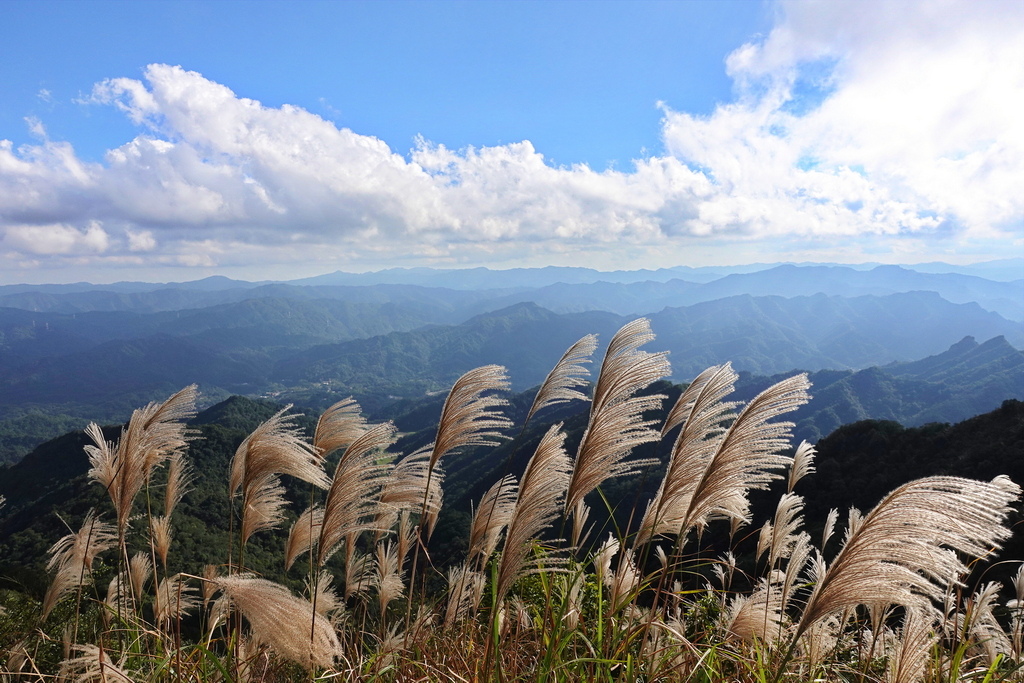 大武崙山、槓子寮山、紅淡山、姜子寮山、五分山、基隆山 - 2