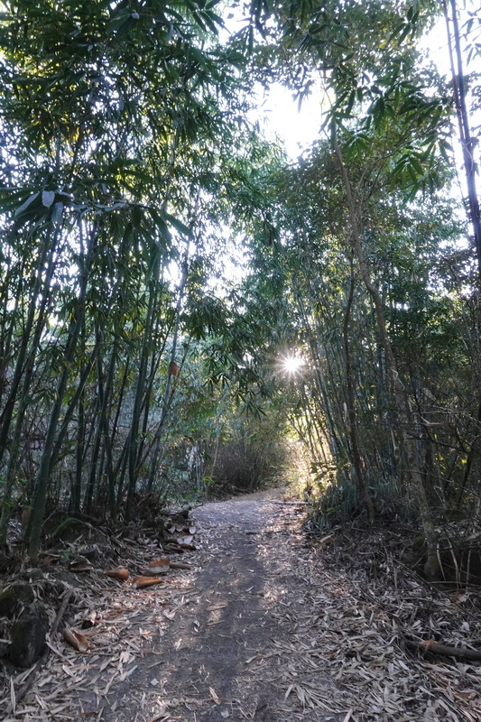 三腳南山、白馬亭、阿婆彎、大埔湖濱公園