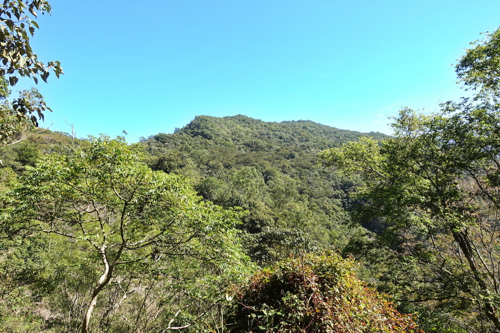 沙溪林道、大津山、尾寮山、朝日山