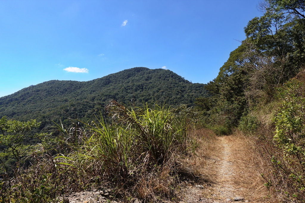 沙溪林道、大津山、尾寮山、朝日山