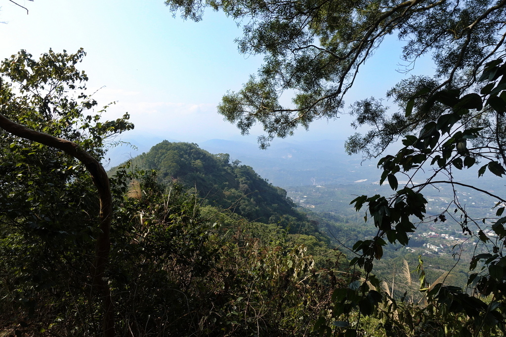 三寶山8字連走、半天岩櫻花秘境