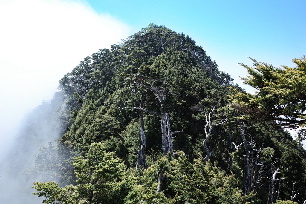 北大武山一日往返