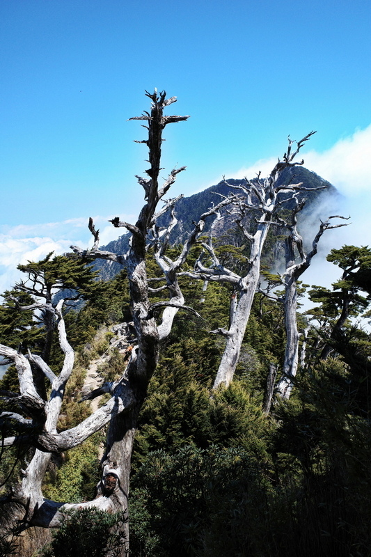 北大武山一日往返