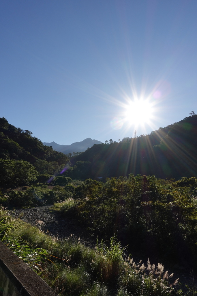鵝公髻山、五指山、飛鳳山 - 2024機車漫行 Day4
