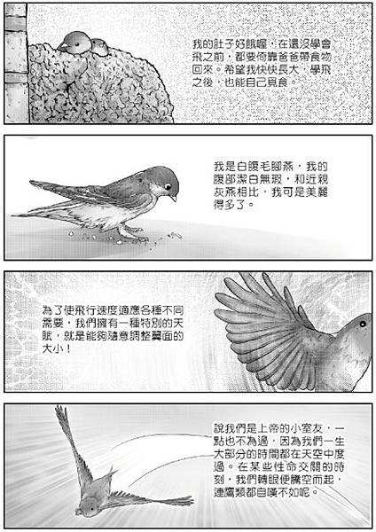 動物也有話說_4.jpg