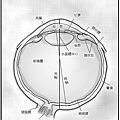 動物也有話說_9.jpg