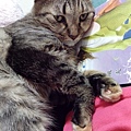 IMG_20151019_201231.jpg