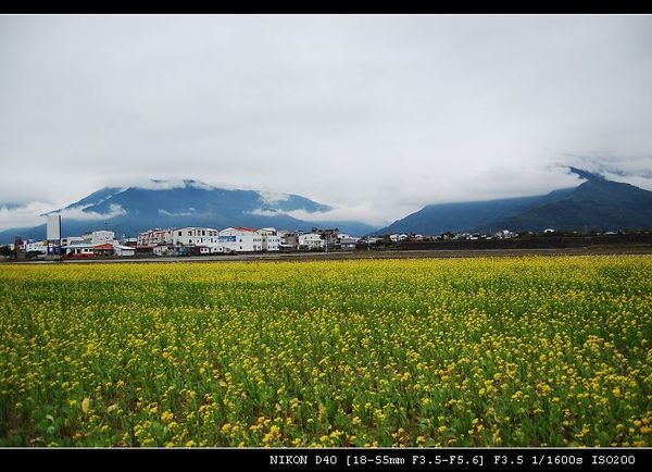 山嵐飄邈很美