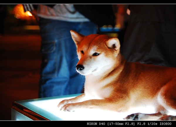 DSC_0140.jpg DSC_0140.jpg