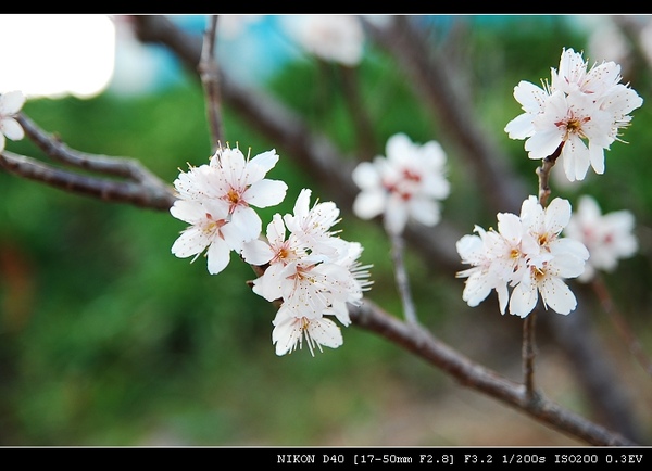 DSC_0417.jpg DSC_0417.jpg