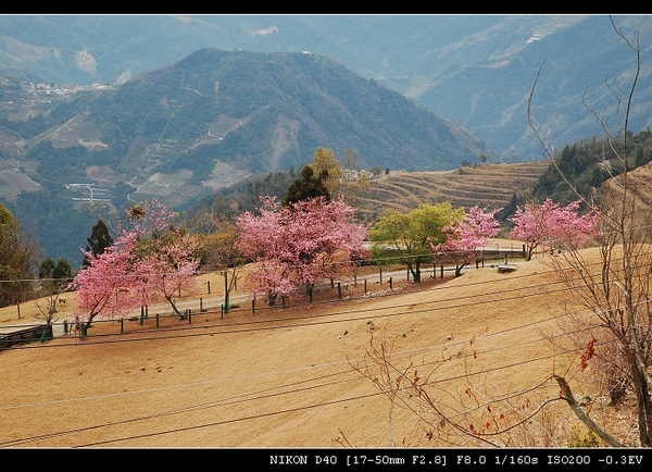 DSC_0765.jpg DSC_0765.jpg