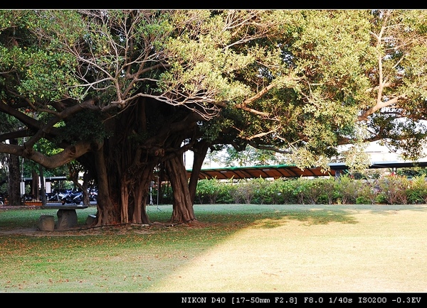 DSC_0045.jpg DSC_0045.jpg