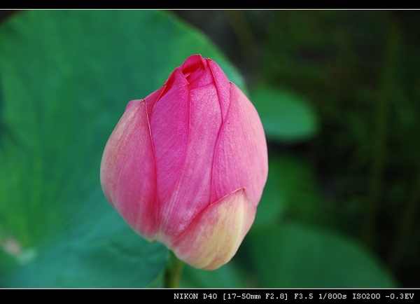 DSC_0128.jpg DSC_0128.jpg
